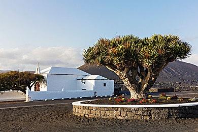 恭迎圣驾即位！|《皇帝与社稷》抢先体验版现已上线Steam