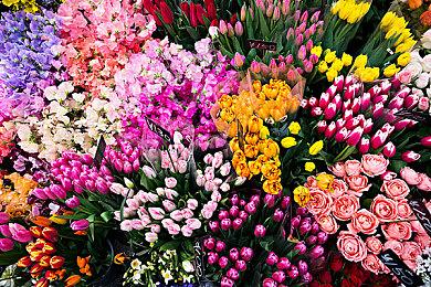 《Rusty Rabbit》剧情宣传影片 9月24日发售